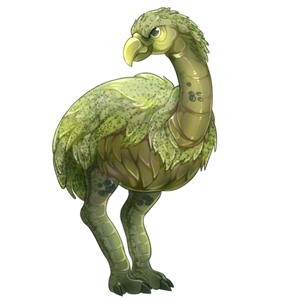 https://faenaria.com/images/shop_pets/Moa/Kakapo/image.png