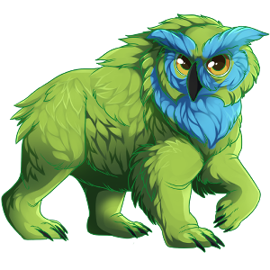 pet #506
